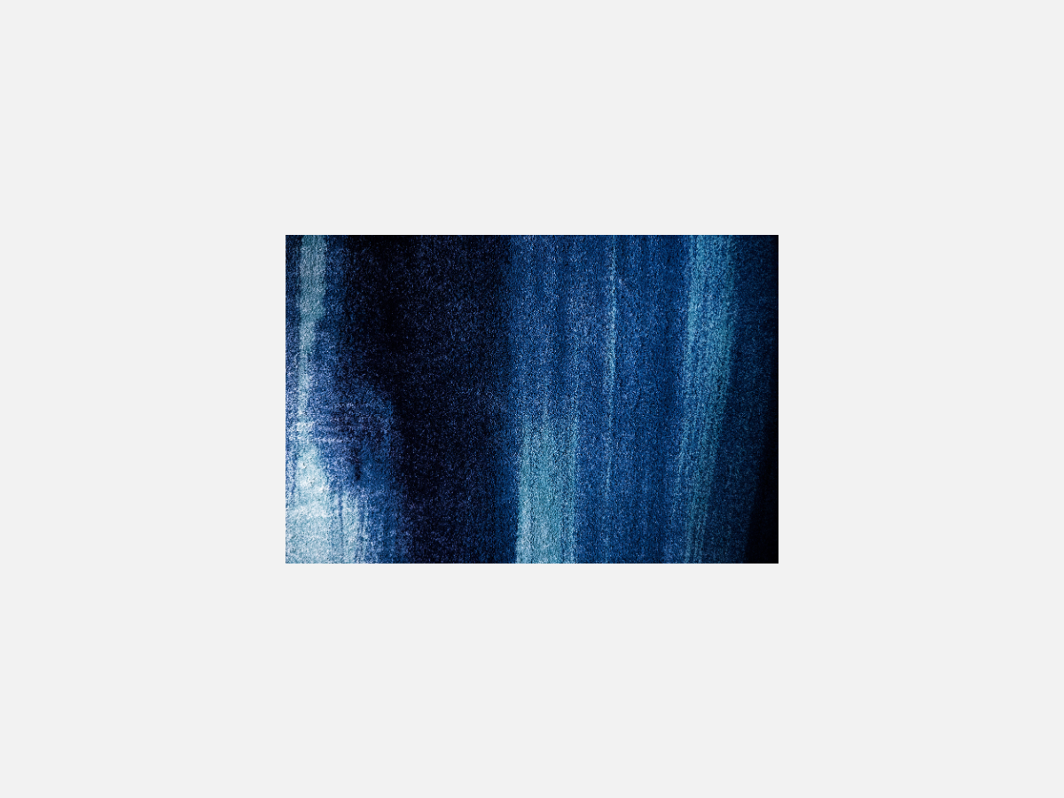 course by Gallinula